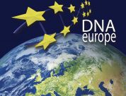 DNA Europe - Erasmus Lisbon Internship 