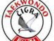 Taekwondo klub Čigra