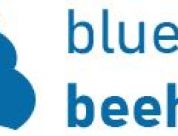 Blue Beehive
